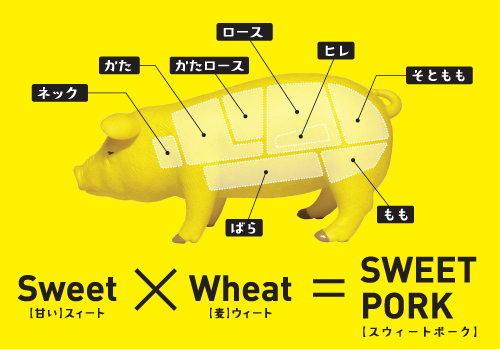 部位によって肉質が違います。その部位に合った料理をして、よりおいしくいただきましょう。